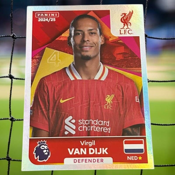 Nr.383 Virgil Van Dijk