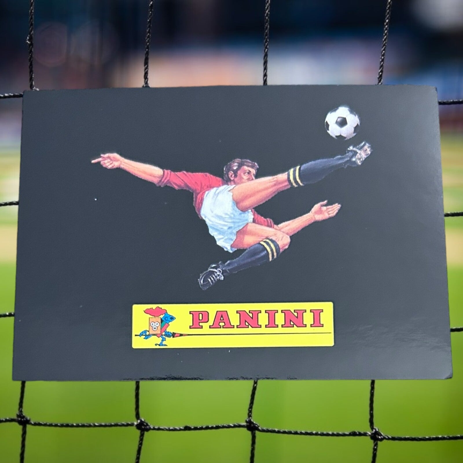 Nr.4 Panini