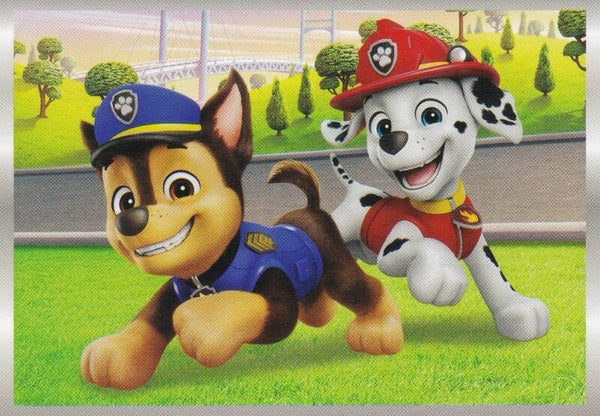 Nr.4 Paw Patrol Die besten Abenteuer aller Zeiten
