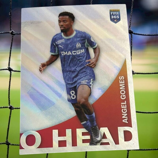 Nr.476 Angel Gomes