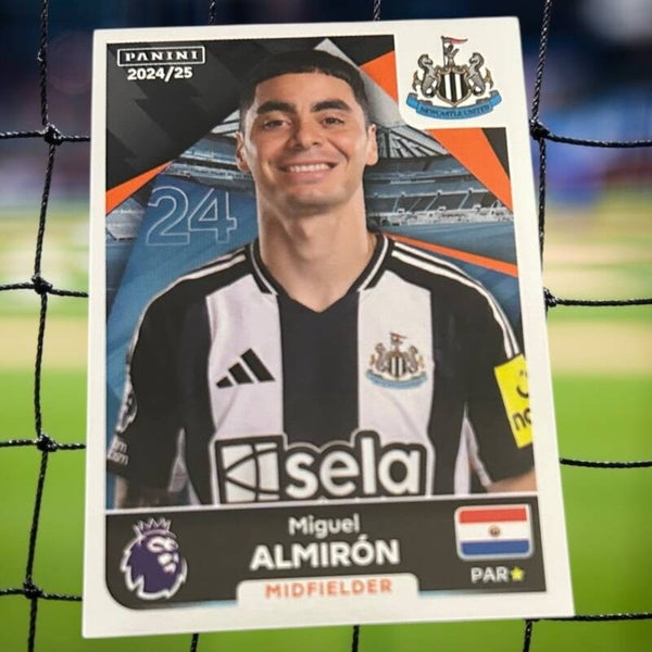 Nr.479 Miquel Almiron