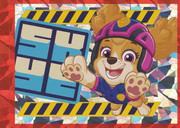 Nr.48 Paw Patrol Search Rescue