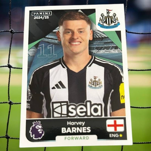 Nr.484 Harvey Barnes