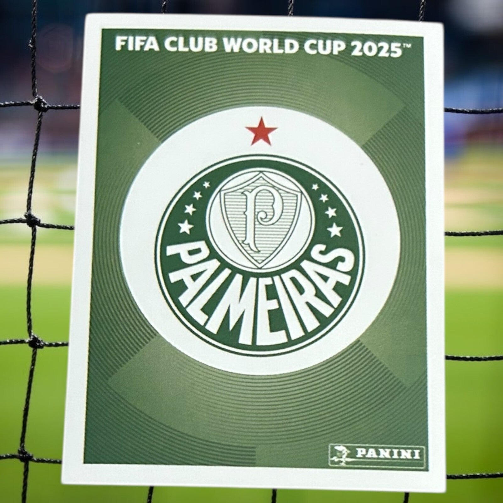 Nr.5 Palmeiras