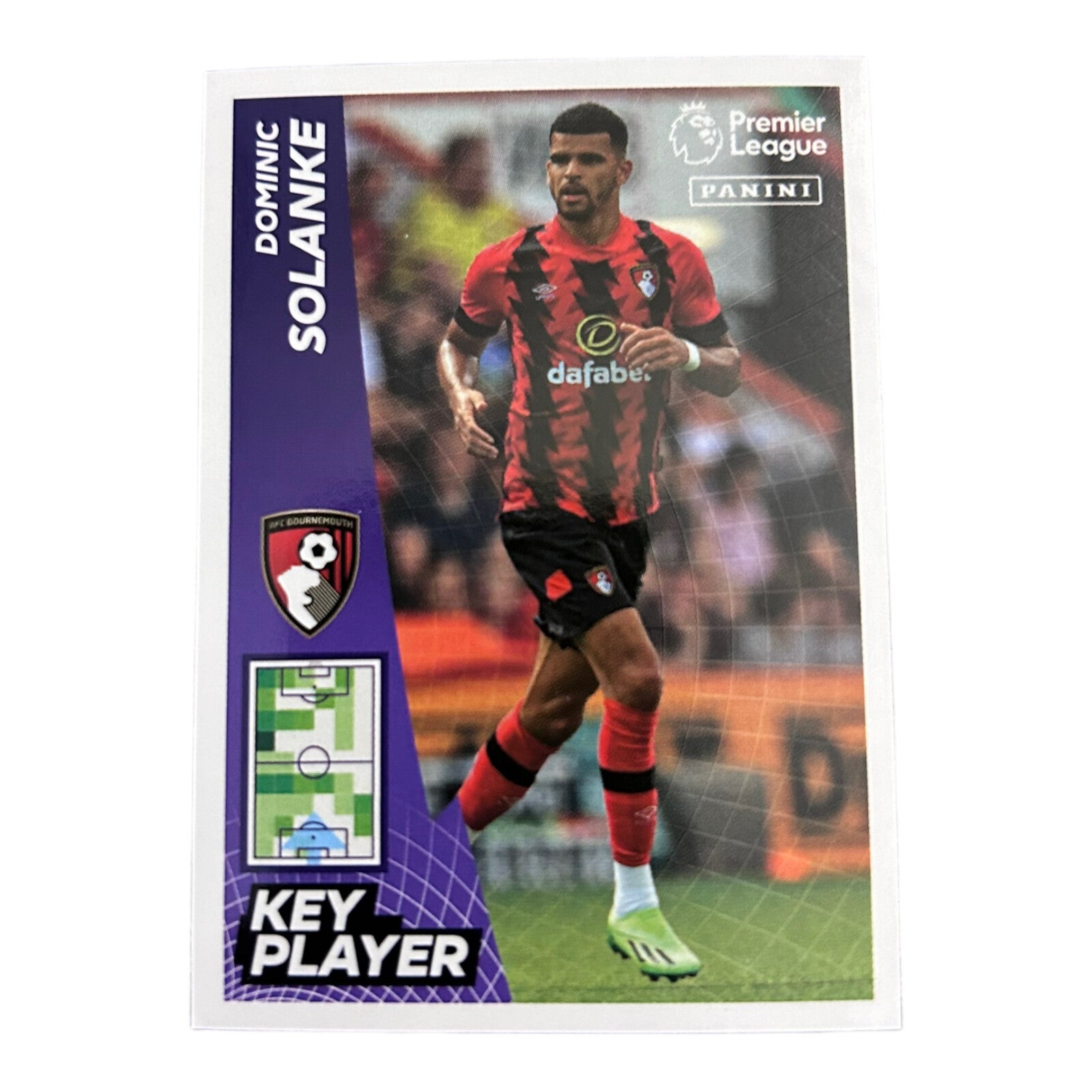 Nr.50 Dominic Solanke