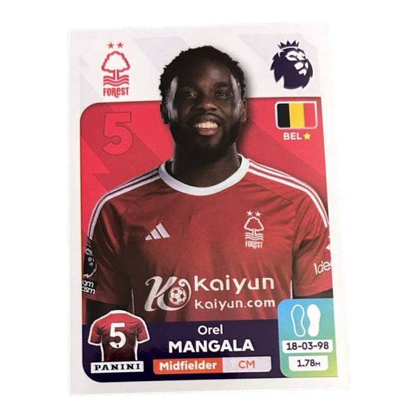Nr.503 Grei Mangala