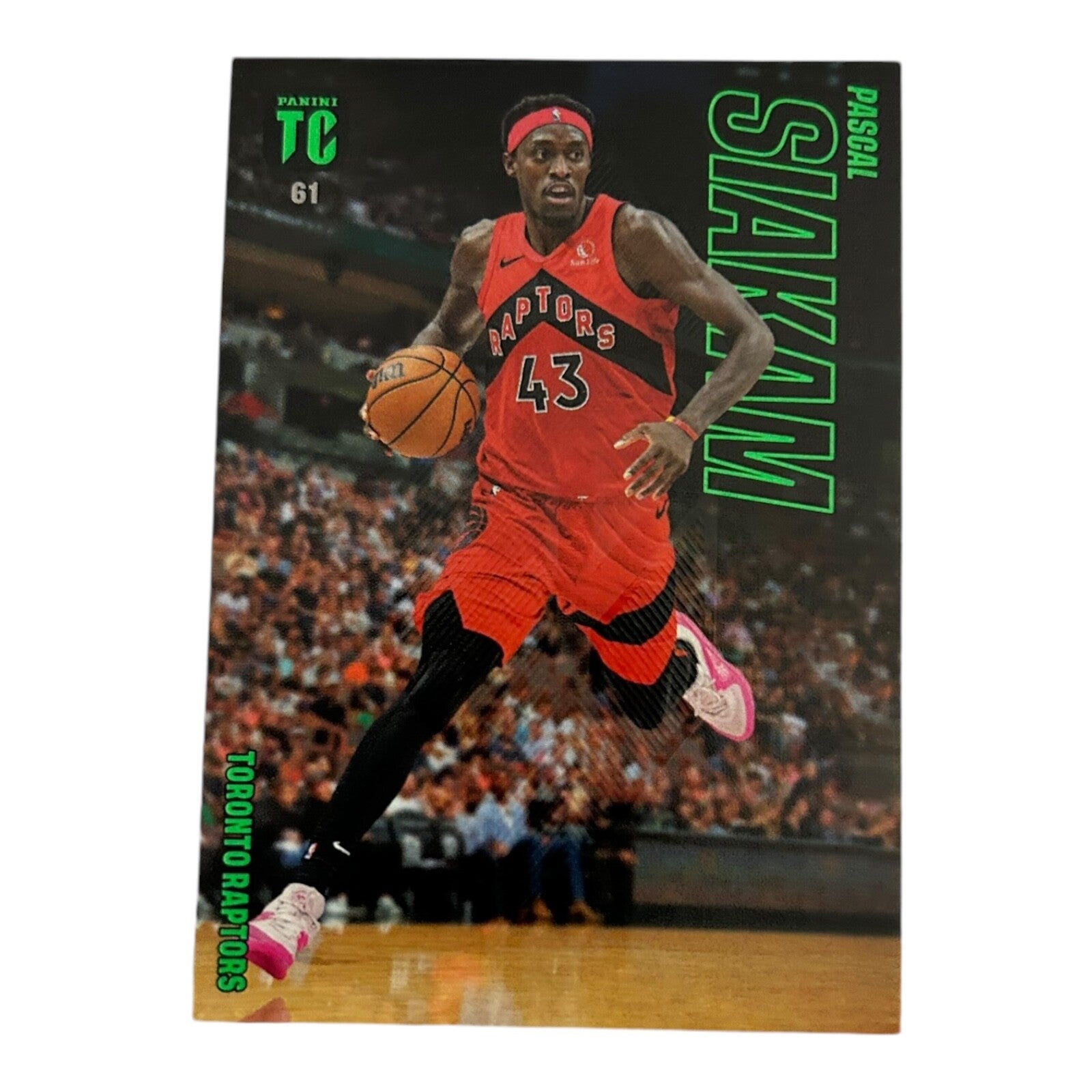 Nr.61 Pascal Siakam