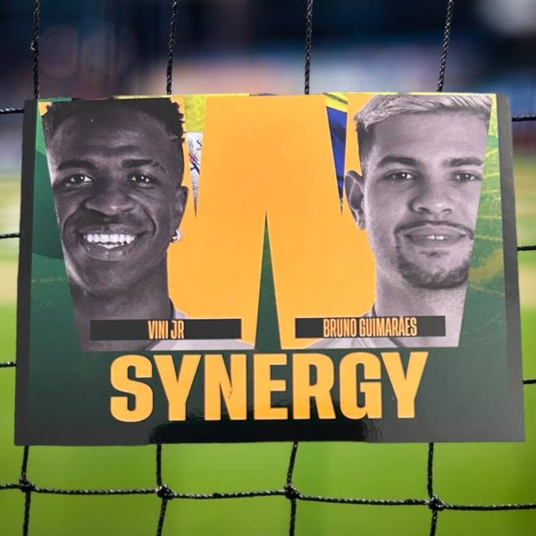 Nr.62 Synergy