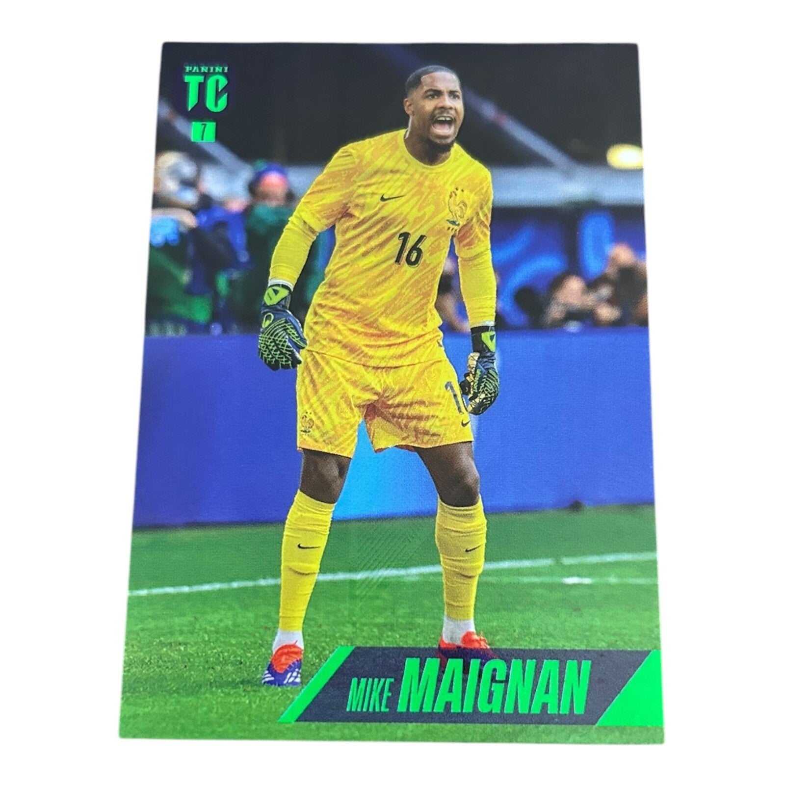 Nr.7 Mike Maignan