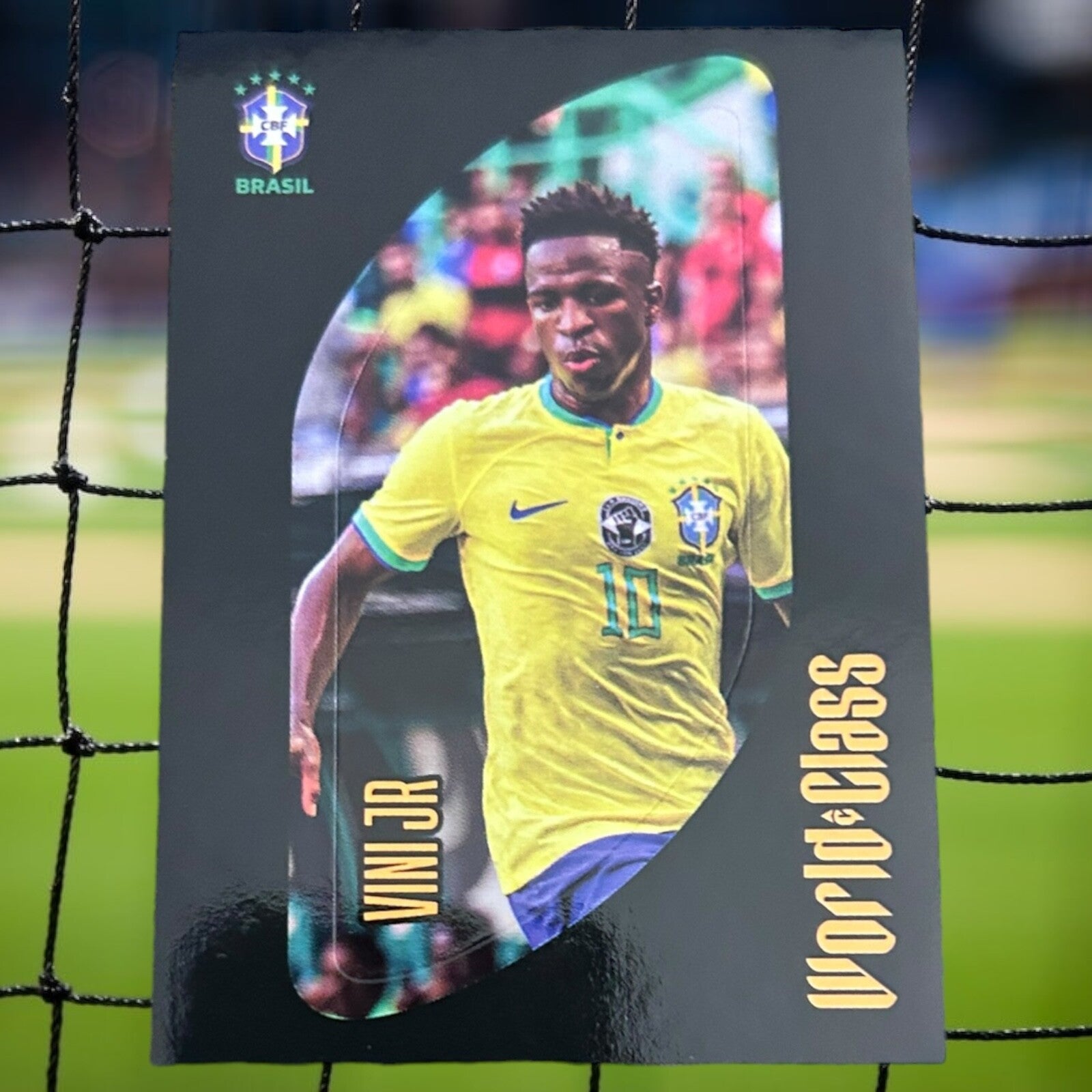 Nr.71 Vini Jr.