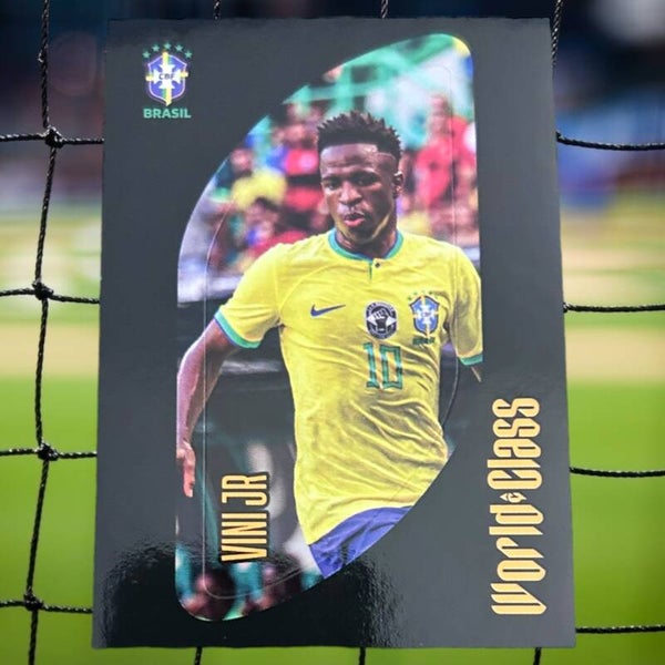 Nr.71 Vini Jr.