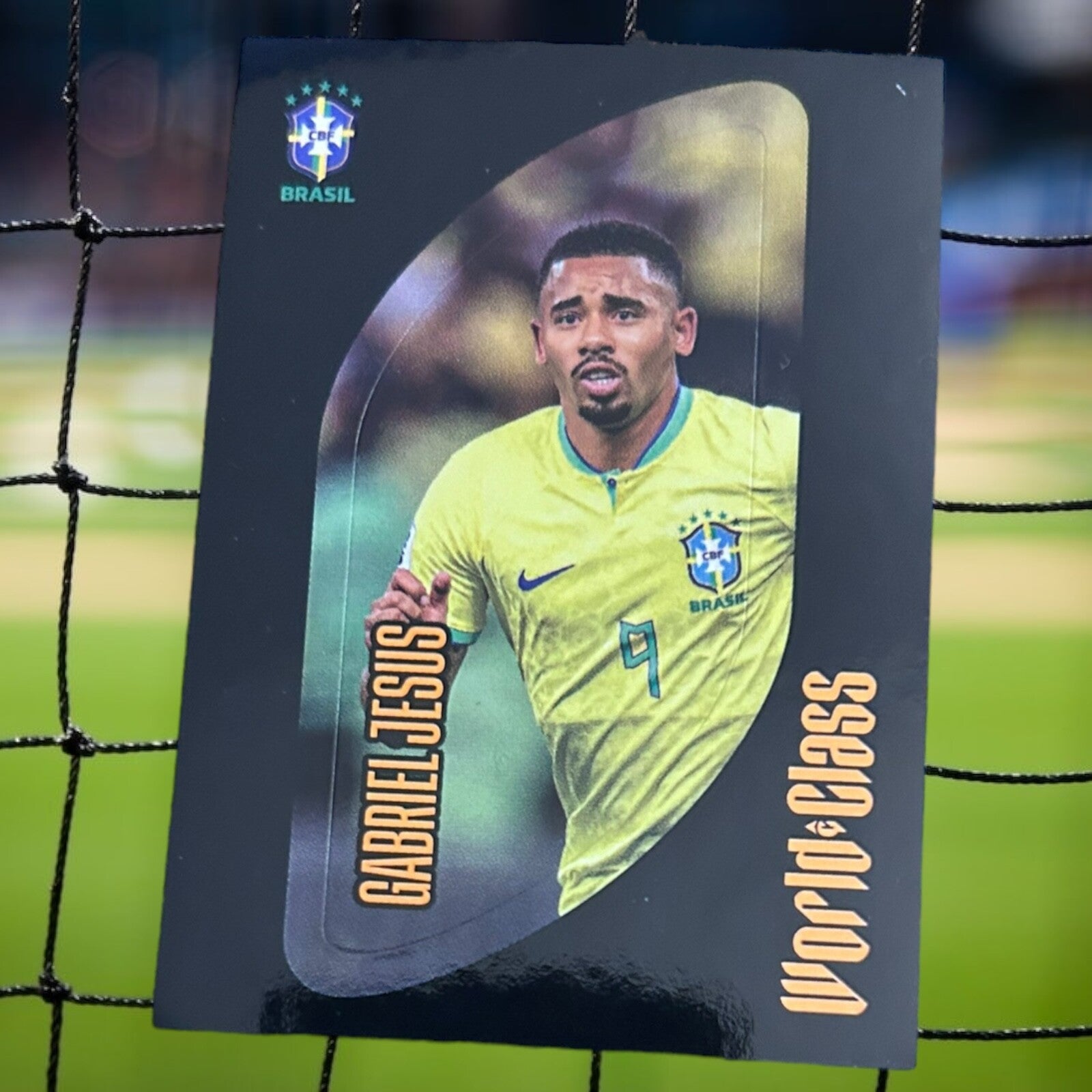 Nr.73 Gabriel Jesus