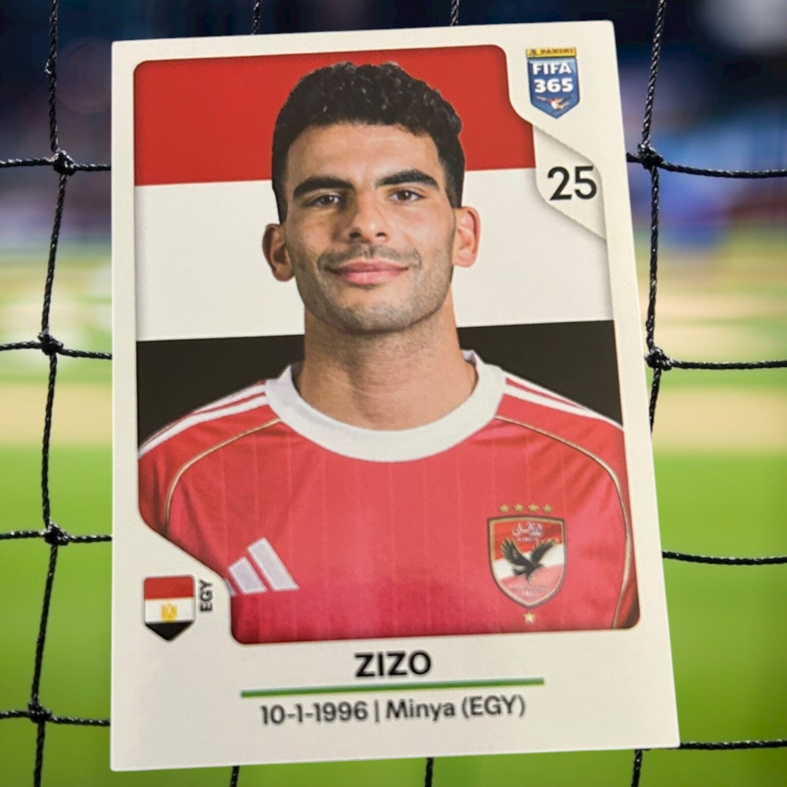 Nr.74 Zizo