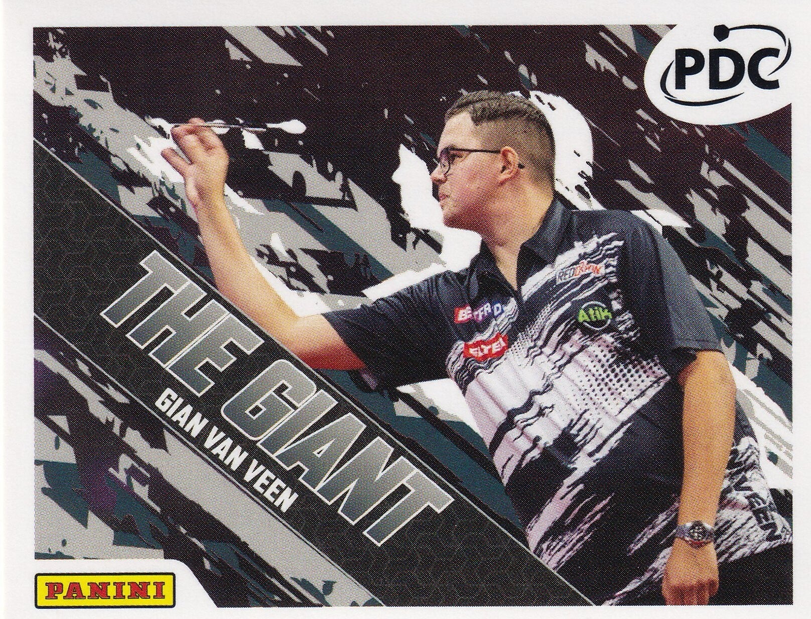 Nr.80 Gian Van Veen