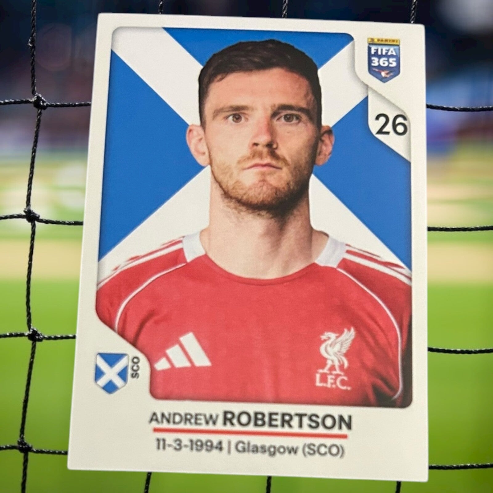 Nr.85 Andrew Robertson