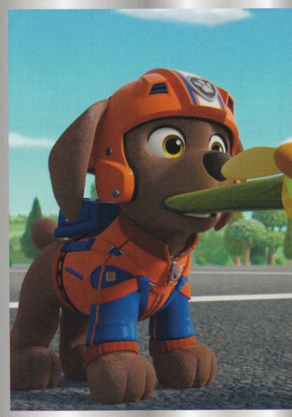 Nr.99 Paw Patrol Die besten Abenteuer aller Zeiten