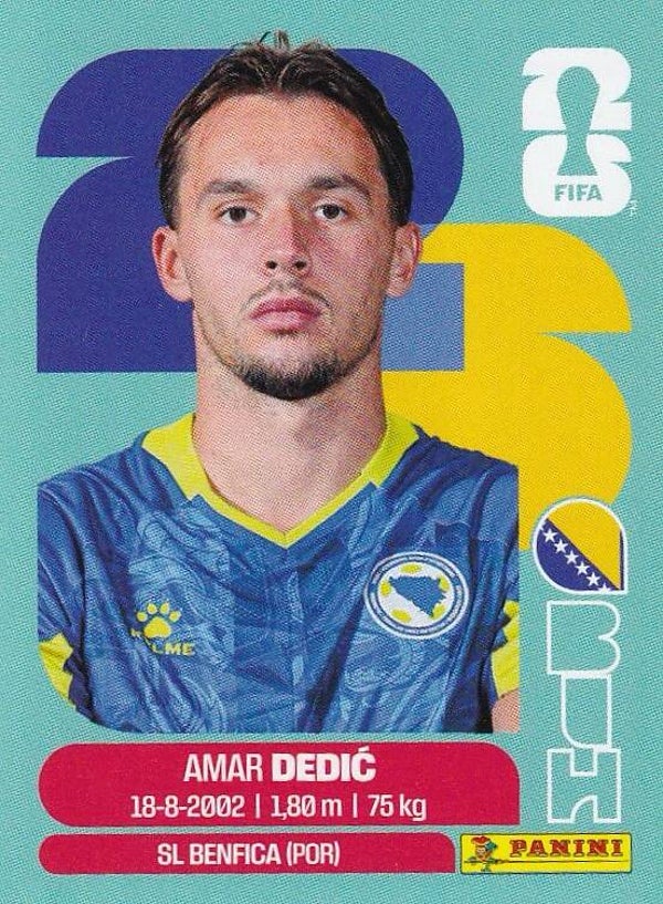 BIH3 Amar Dedic