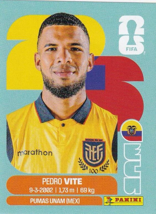 ECU12 Pedro Vite