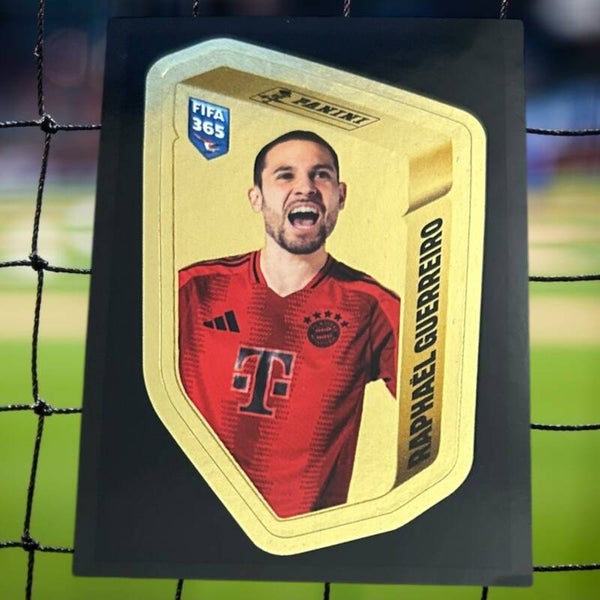 Nr.GUE Raphael Guerreiro