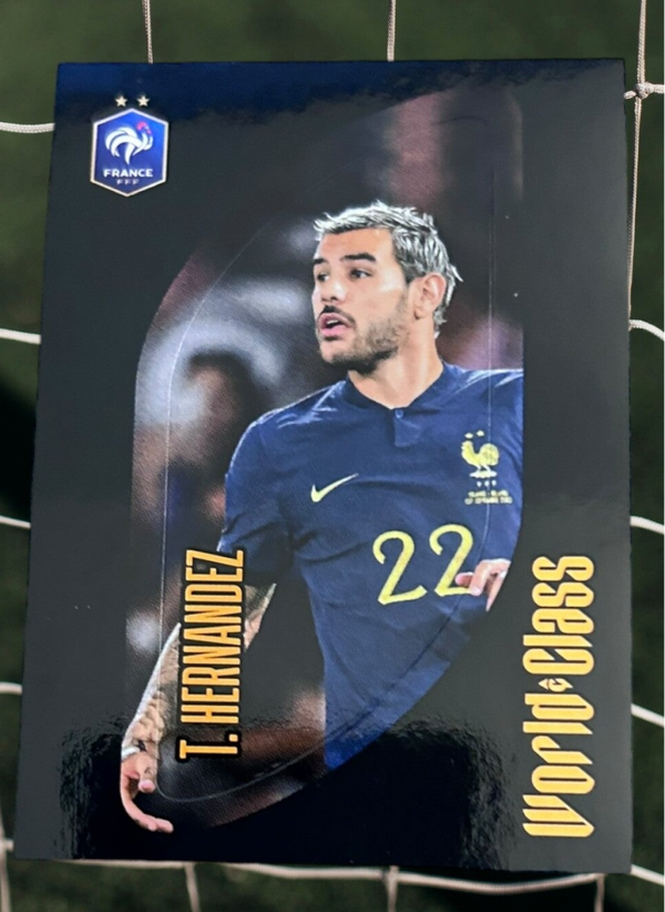 Nr.223 T. Hernandez