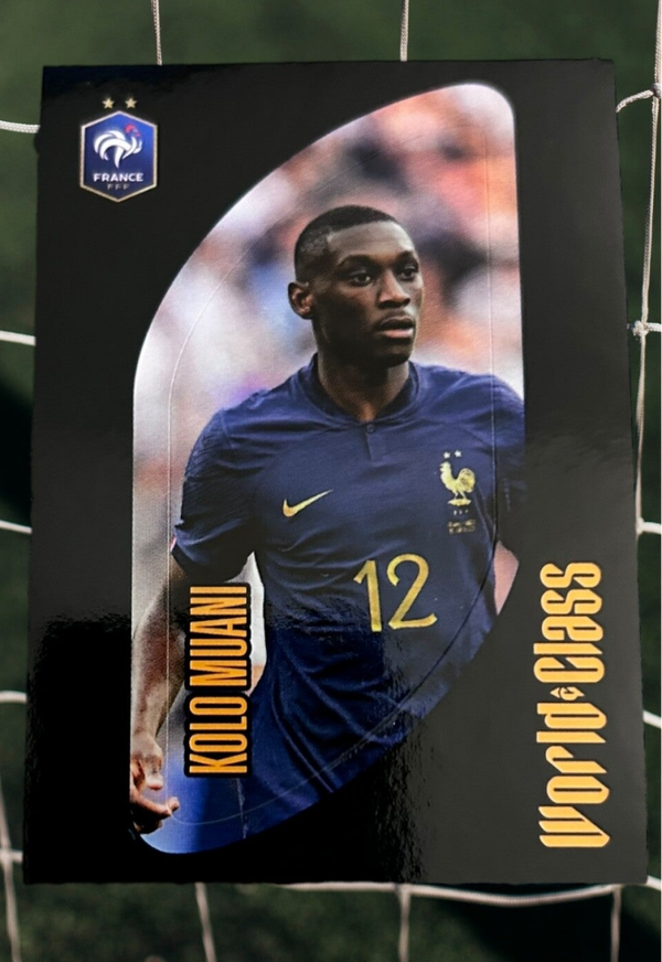Nr.229 Kolo Muani