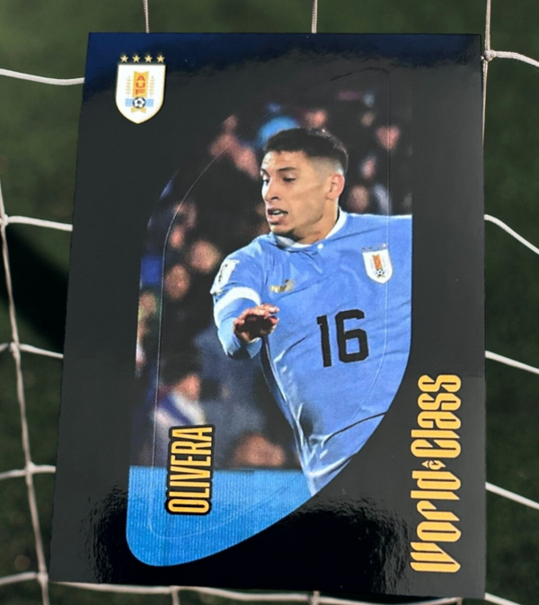Nr.262 Olivera