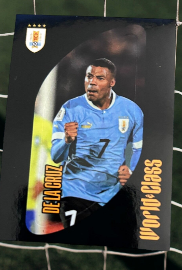 Nr.266 De La Cruz