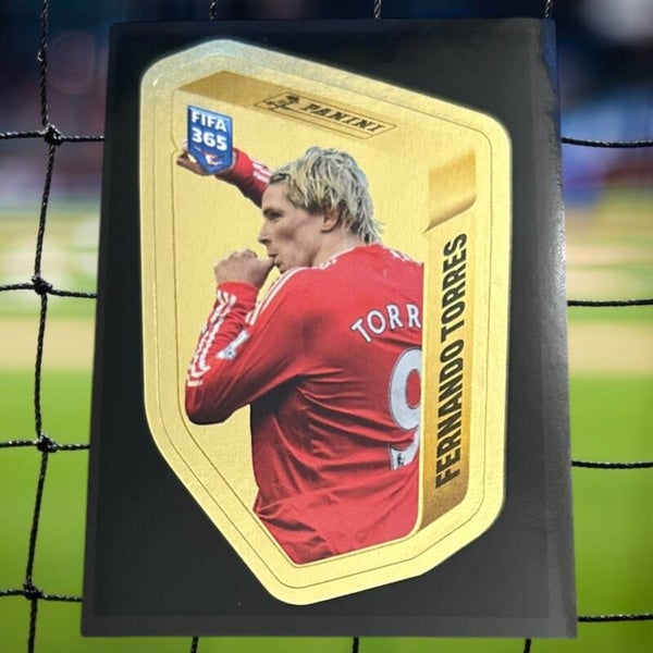 Nr.TOR Fernando Torres