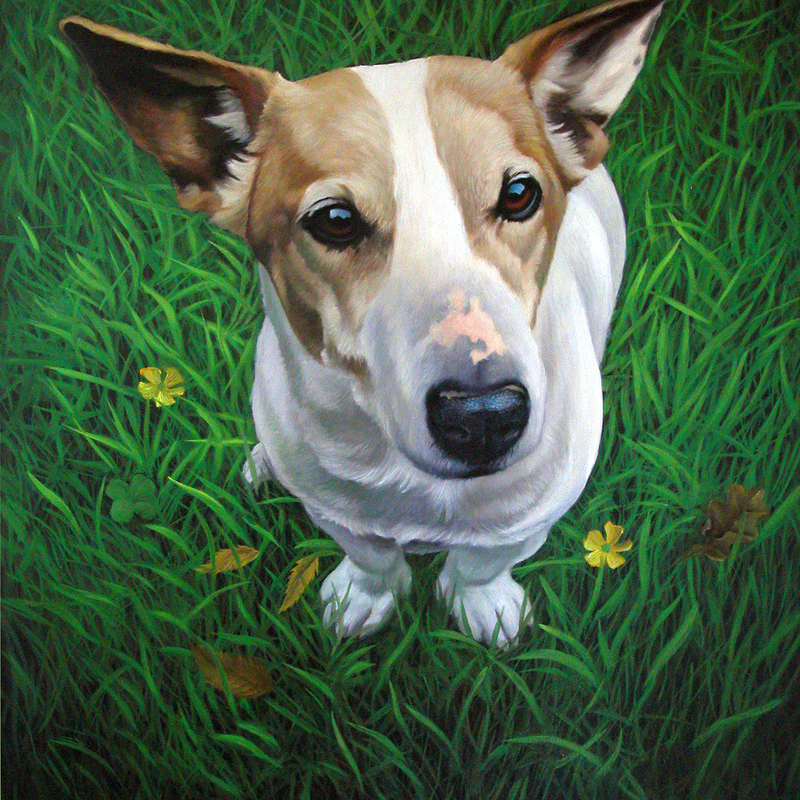 Digger, portret van een overleden hond.