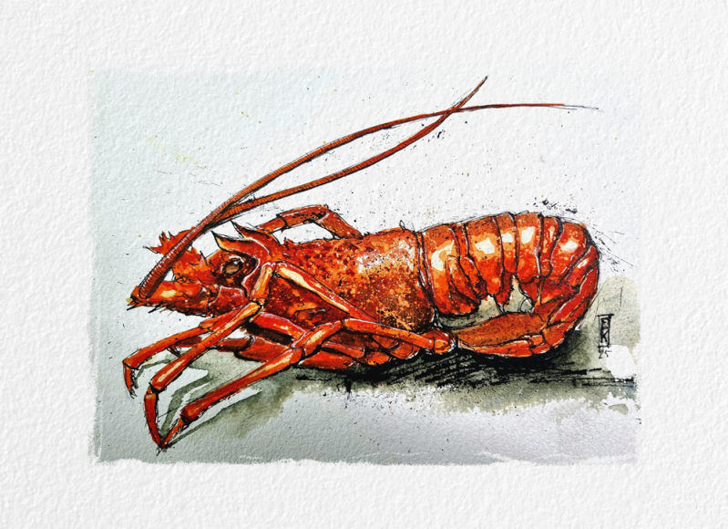 Keeftje, © Eric Kusters 2025