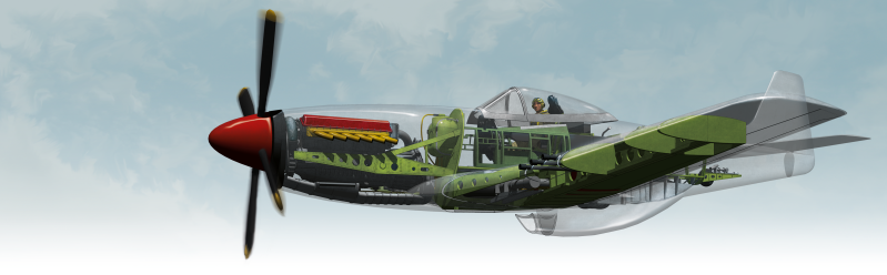 Mustang P-51, © 2023 Eric Kusters