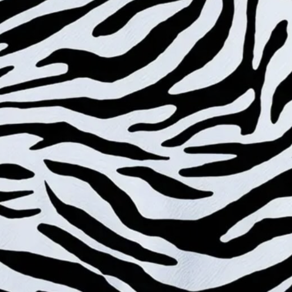 Zoe Zebra Frill