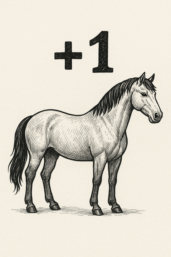 extra persoon pony peuter beleving