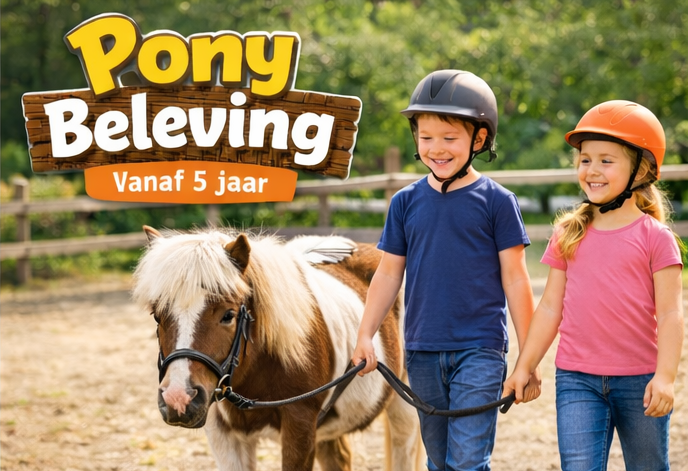 pony beleving 1 persoon