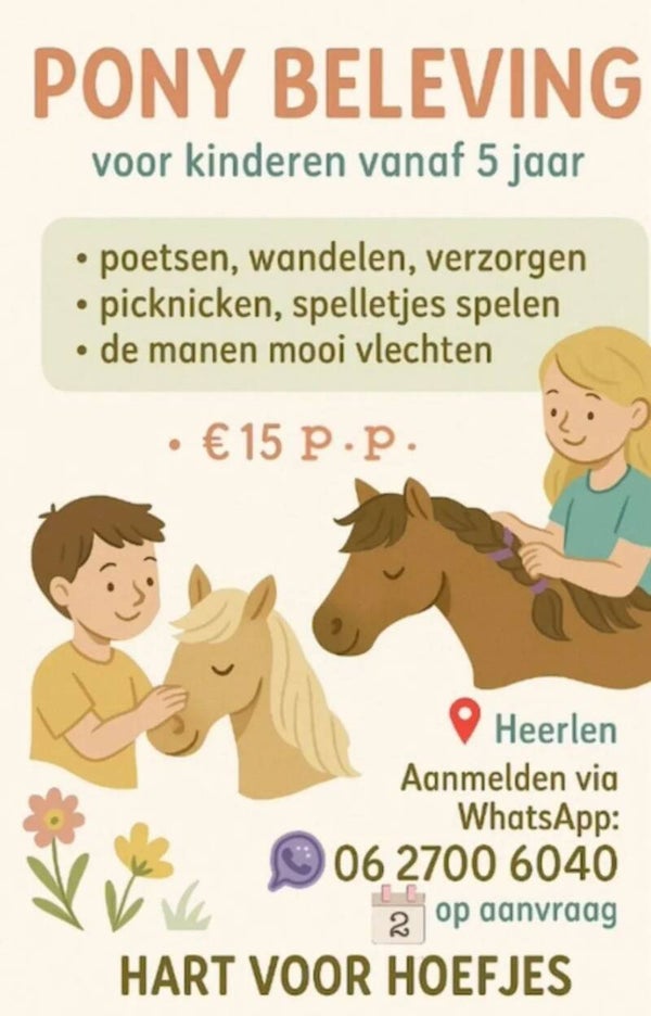 pony beleving 1 persoon