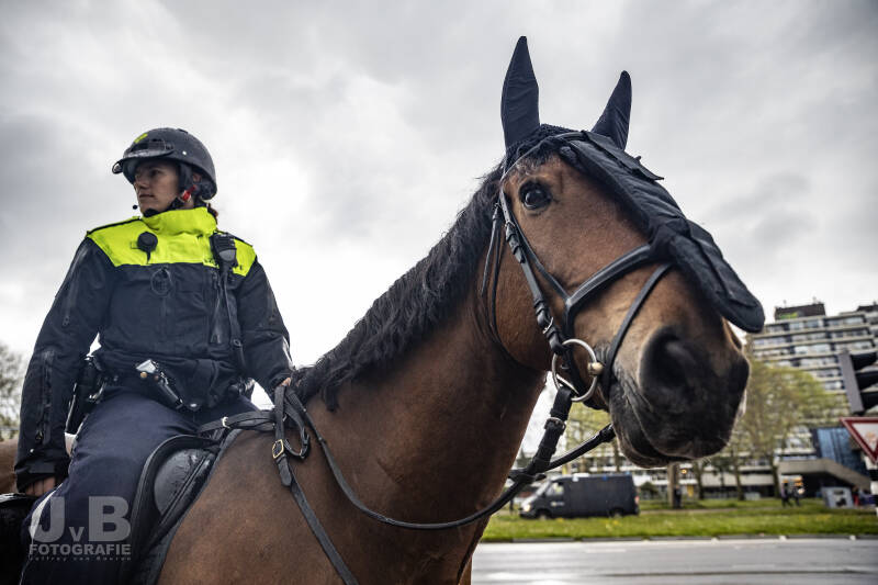 JVBFotografie_8842.jpg