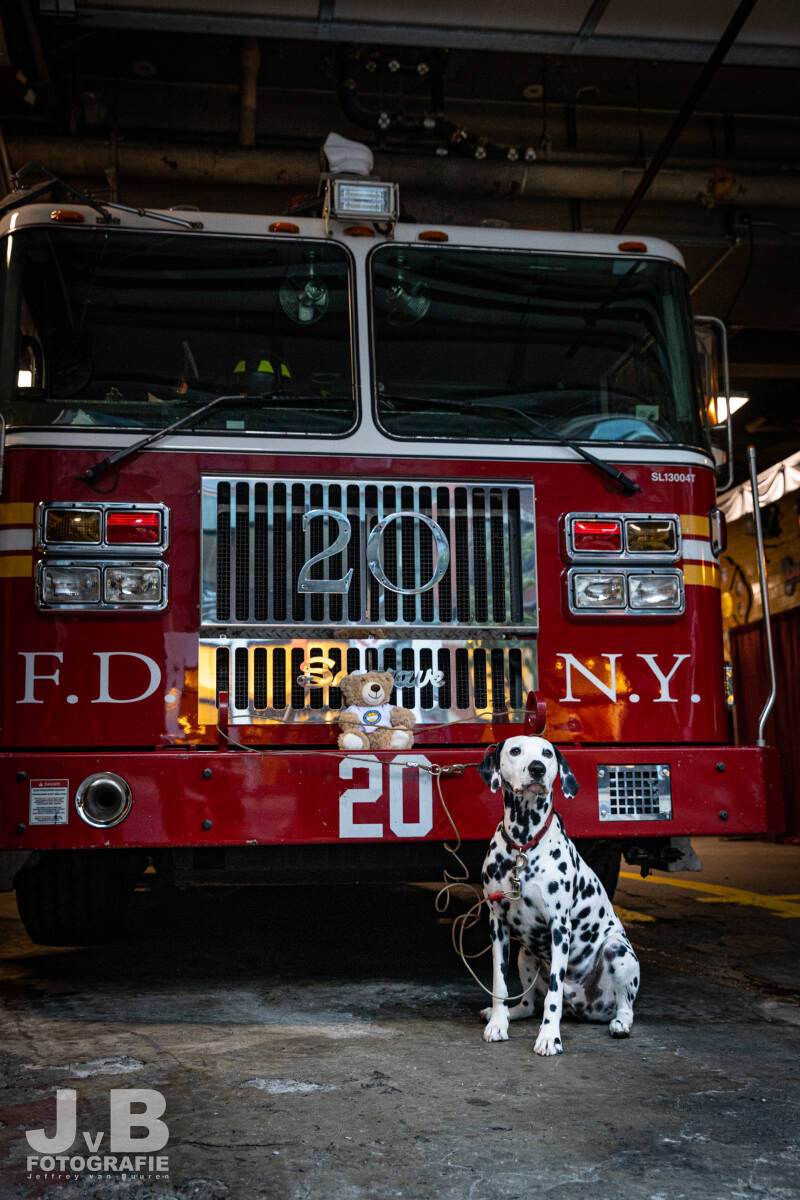 Tank the Dalmatian Fire Station Dog TL20 - Manhattan