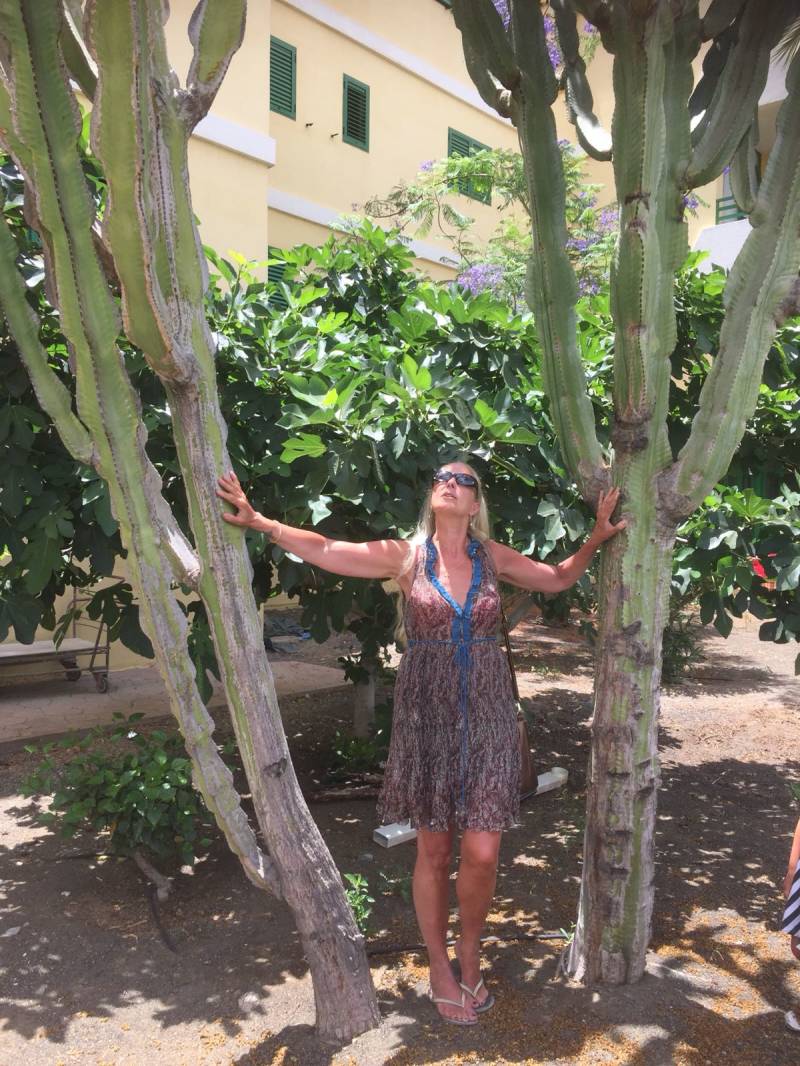 gemoedgenezer, wegwijzer voor welzijn, christelijke gids voor hulp, steun, troost