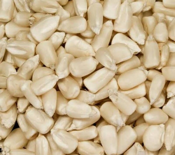 Maíz Blanco