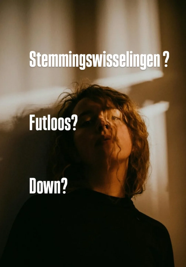Ebook Stemming en Energie