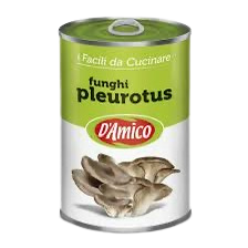 Funghi Pleurotes – Italiaanse Oesterzwammen