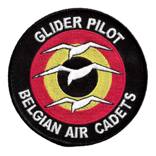 Glider Pilot