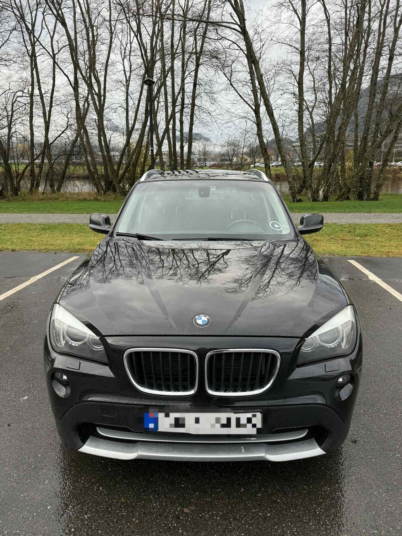 BMW X1 2010