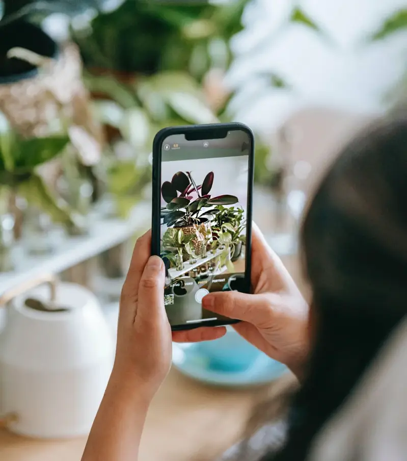 Workshop smartphone fotografie als teamuitje