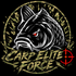 Carpeliteforce