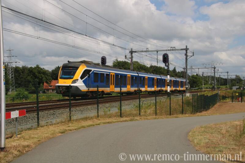101-standard.jpg