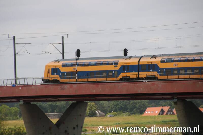114-standard.jpg