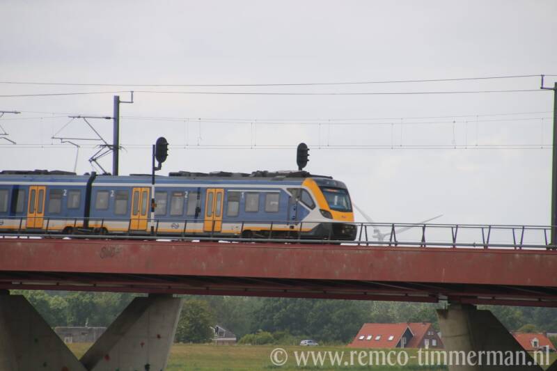 116-standard.jpg