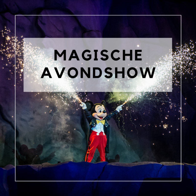 Holland America Line, Cruise