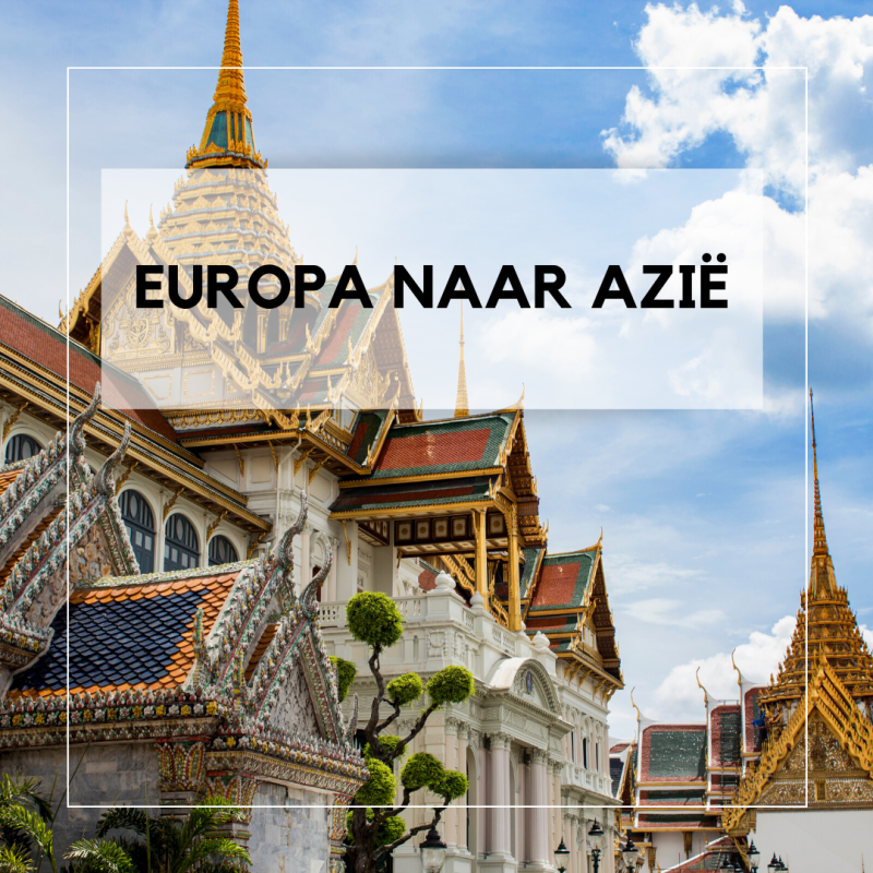 Holland America Line, Cruise